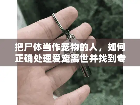 把尸体当作宠物的人，如何正确处理爱宠离世并找到专业服务？