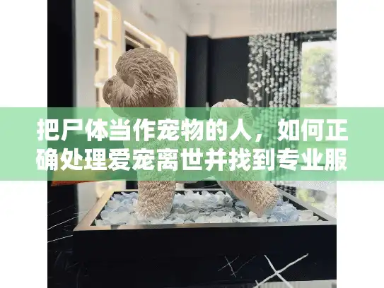 把尸体当作宠物的人，如何正确处理爱宠离世并找到专业服务？