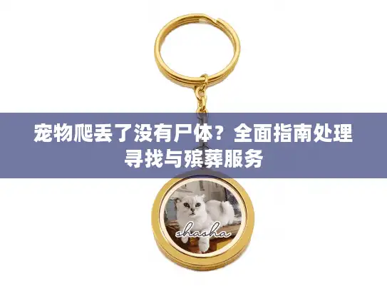宠物爬丢了没有尸体？全面指南处理寻找与殡葬服务