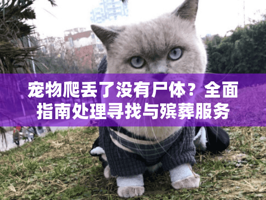 宠物爬丢了没有尸体？全面指南处理寻找与殡葬服务