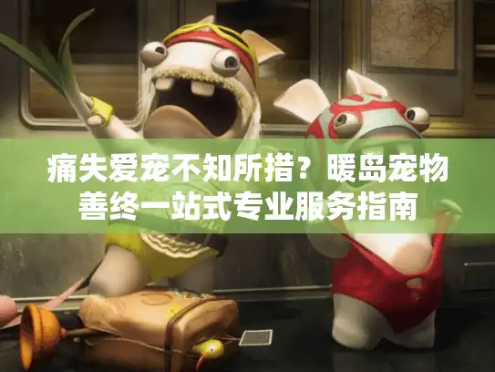 痛失爱宠不知所措？暖岛宠物善终一站式专业服务指南