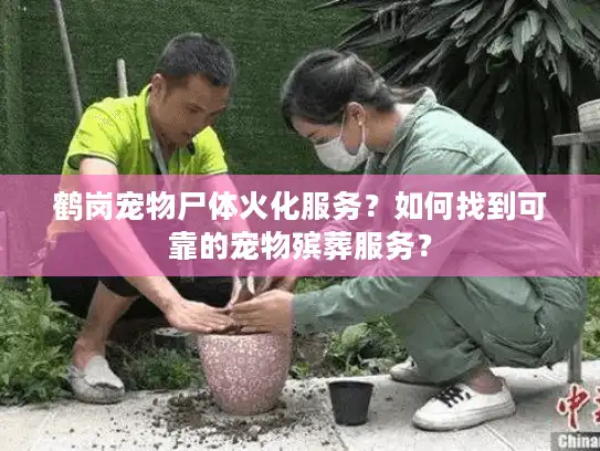 鹤岗宠物尸体火化服务?如何找到可靠的宠物殡葬服务? 鹤岗宠物尸体火化服务?如何找到可靠的宠物殡葬服务?