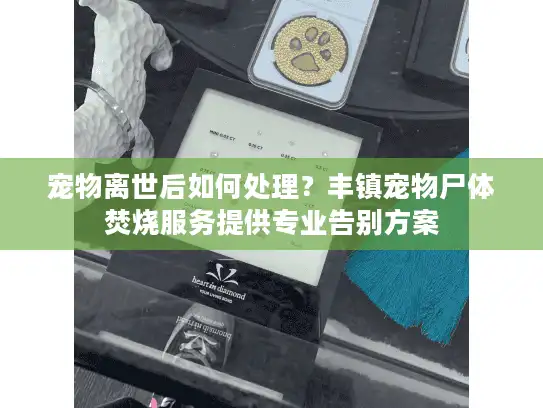 宠物离世后如何处理？丰镇宠物尸体焚烧服务提供专业告别方案