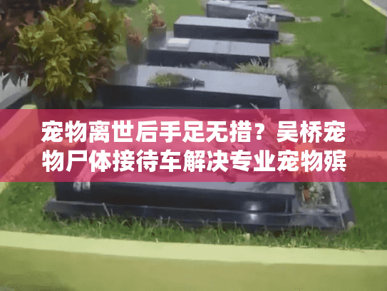 宠物离世后手足无措?吴桥宠物尸体接待车解决专业宠物殡葬服务需求 宠物离世后手足无措?吴桥宠物尸体接待车解决专业宠物殡葬服务需求