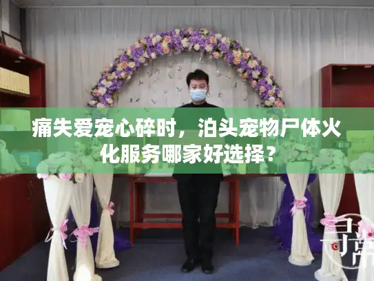 痛失爱宠心碎时，泊头宠物尸体火化服务哪家好选择？