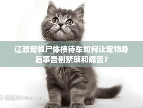 辽源宠物尸体接待车如何让宠物身后事告别繁琐和痛苦？