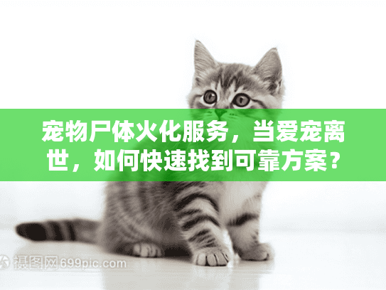 宠物尸体火化服务，当爱宠离世，如何快速找到可靠方案？