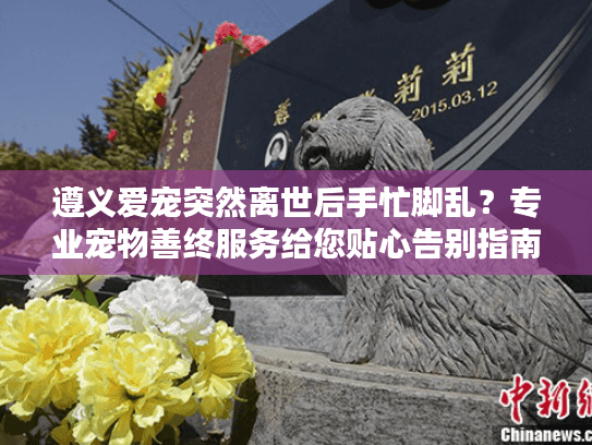 遵义爱宠突然离世后手忙脚乱？专业宠物善终服务给您贴心告别指南