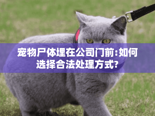 宠物尸体埋在公司门前:如何选择合法处理方式?