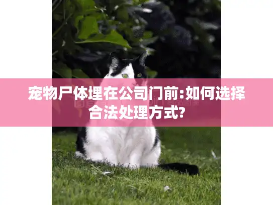 宠物尸体埋在公司门前:如何选择合法处理方式?