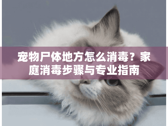 宠物尸体地方怎么消毒？家庭消毒步骤与专业指南