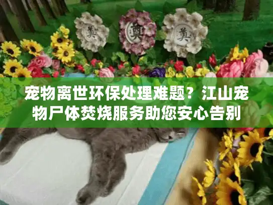 宠物离世环保处理难题？江山宠物尸体焚烧服务助您安心告别