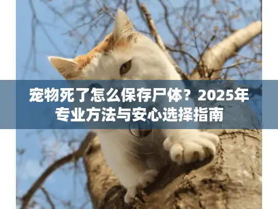 宠物死了怎么保存尸体?2025年专业方法与安心选择指南 宠物死了怎么保存尸体?2025年专业方法与安心选择指南