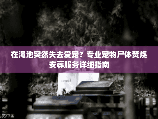在渑池突然失去爱宠？专业宠物尸体焚烧安葬服务详细指南