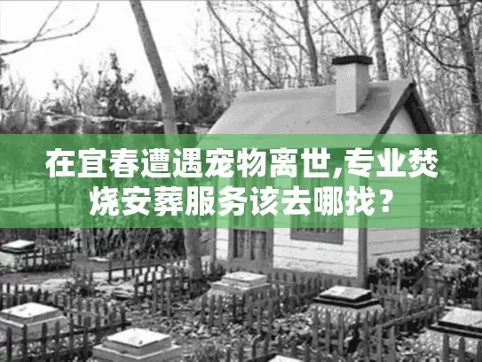 在宜春遭遇宠物离世,专业焚烧安葬服务该去哪找？