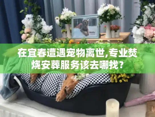 在宜春遭遇宠物离世,专业焚烧安葬服务该去哪找？
