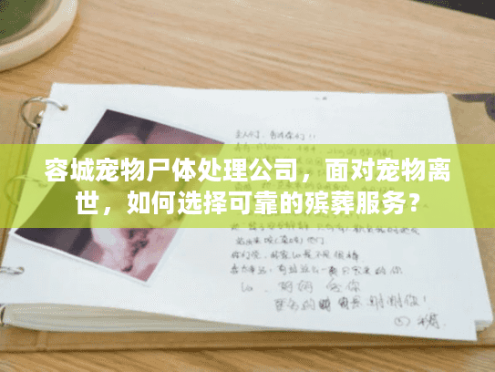 容城宠物尸体处理公司，面对宠物离世，如何选择可靠的殡葬服务？