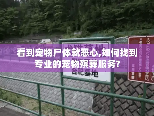 看到宠物尸体就恶心,如何找到专业的宠物殡葬服务?