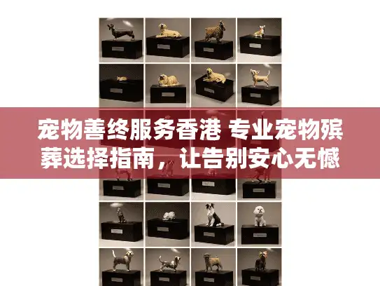 宠物善终服务香港 专业宠物殡葬选择指南，让告别安心无憾