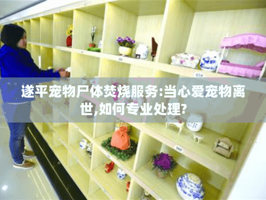 遂平宠物尸体焚烧服务:当心爱宠物离世,如何专业处理?