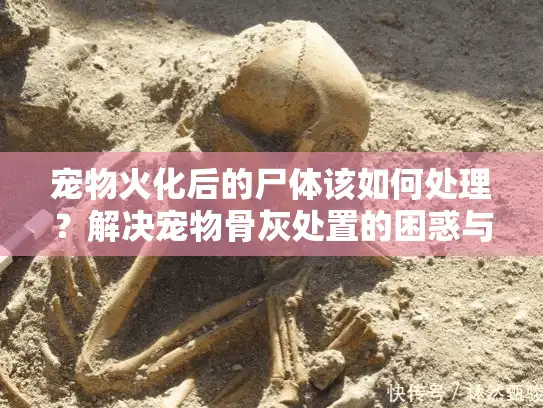 宠物火化后的尸体该如何处理?解决宠物骨灰处置的困惑与痛点 宠物火化后的尸体该如何处理?解决宠物骨灰处置的困惑与痛点