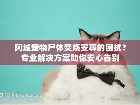阿城宠物尸体焚烧安葬的困扰?专业解决方案助你安心告别 阿城宠物尸体焚烧安葬的困扰?专业解决方案助你安心告别