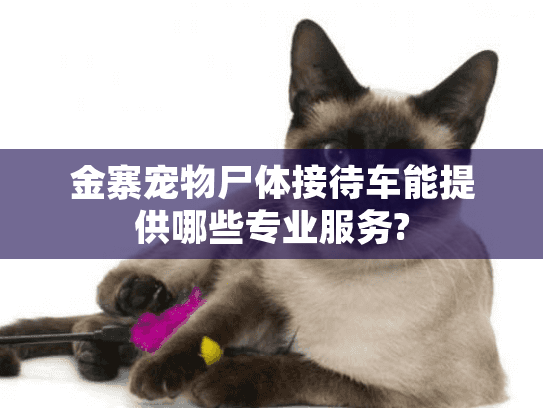 金寨宠物尸体接待车能提供哪些专业服务?