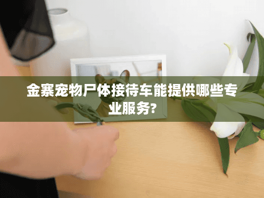 金寨宠物尸体接待车能提供哪些专业服务?
