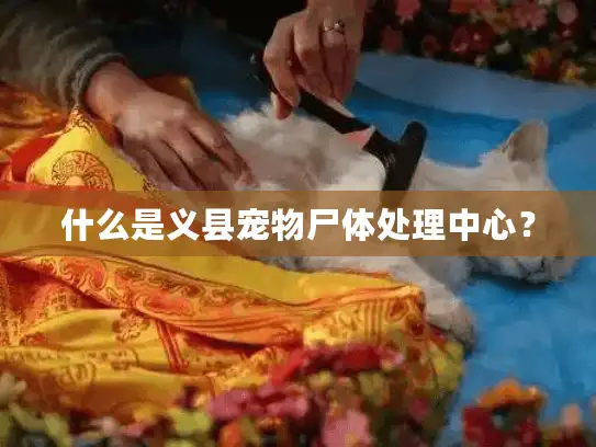 什么是义县宠物尸体处理中心? 什么是义县宠物尸体处理中心?