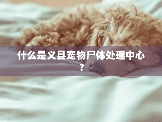 什么是义县宠物尸体处理中心? 什么是义县宠物尸体处理中心?
