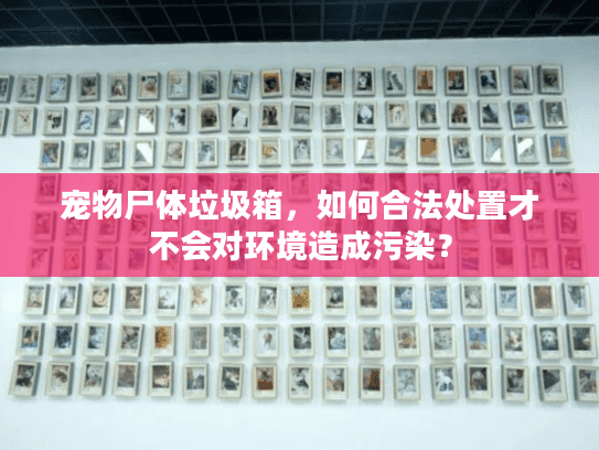 宠物尸体垃圾箱，如何合法处置才不会对环境造成污染？