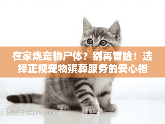 在家烧宠物尸体？别再冒险！选择正规宠物殡葬服务的安心指南