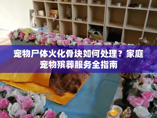 宠物尸体火化骨块如何处理？家庭宠物殡葬服务全指南