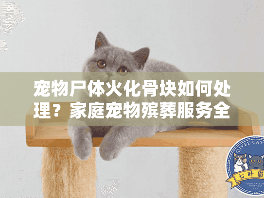 宠物尸体火化骨块如何处理？家庭宠物殡葬服务全指南