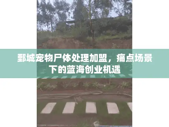 鄄城宠物尸体处理加盟,痛点场景下的蓝海创业机遇 鄄城宠物尸体处理加盟,痛点场景下的蓝海创业机遇