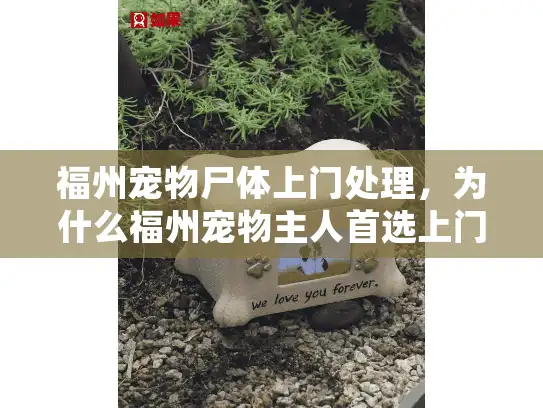 福州宠物尸体上门处理,为什么福州宠物主人首选上门服务? 福州宠物尸体上门处理,为什么福州宠物主人首选上门服务?