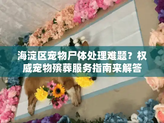 海淀区宠物尸体处理难题?权威宠物殡葬服务指南来解答 海淀区宠物尸体处理难题?权威宠物殡葬服务指南来解答