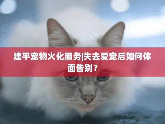 建平宠物火化服务|失去爱宠后如何体面告别？