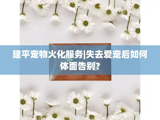 建平宠物火化服务|失去爱宠后如何体面告别？