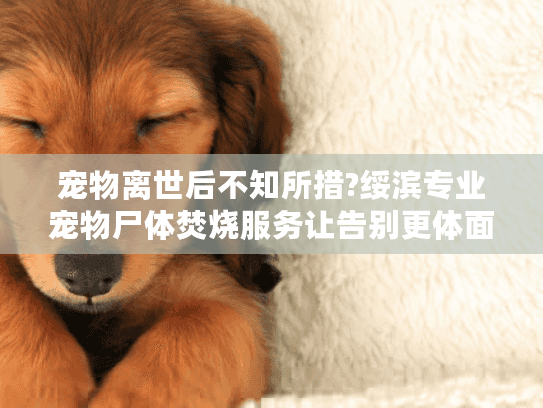 宠物离世后不知所措?绥滨专业宠物尸体焚烧服务让告别更体面 宠物离世后不知所措?绥滨专业宠物尸体焚烧服务让告别更体面