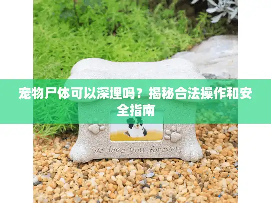 宠物尸体可以深埋吗？揭秘合法操作和安全指南