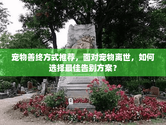 宠物善终方式推荐，面对宠物离世，如何选择最佳告别方案？