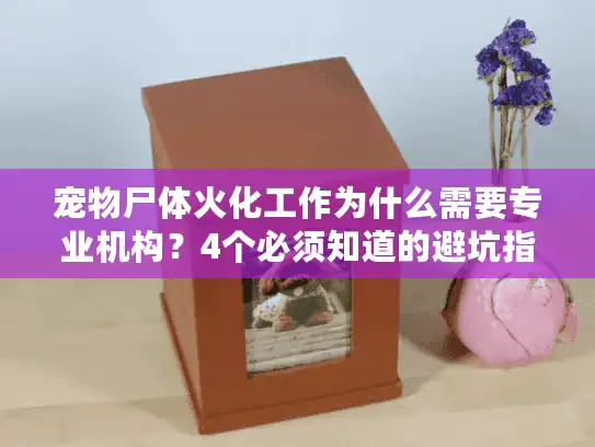 宠物尸体火化工作为什么需要专业机构？4个必须知道的避坑指南
