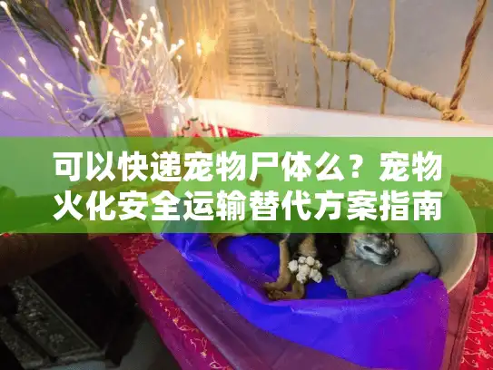可以快递宠物尸体么?宠物火化安全运输替代方案指南 可以快递宠物尸体么?宠物火化安全运输替代方案指南