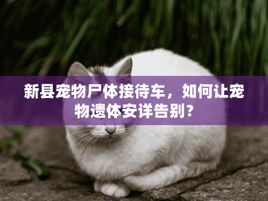 新县宠物尸体接待车，如何让宠物遗体安详告别？