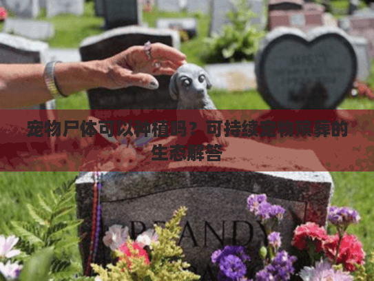 宠物尸体可以种植吗？可持续宠物殡葬的生态解答