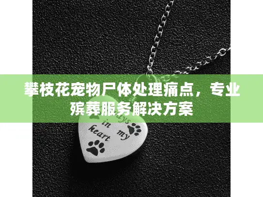 攀枝花宠物尸体处理痛点，专业殡葬服务解决方案