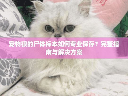 宠物狼的尸体标本如何专业保存？完整指南与解决方案