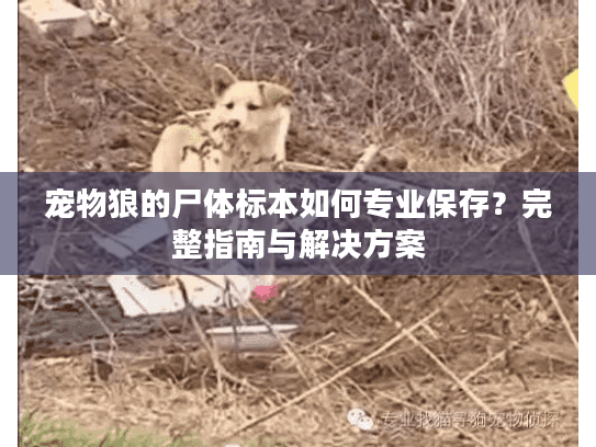 宠物狼的尸体标本如何专业保存？完整指南与解决方案