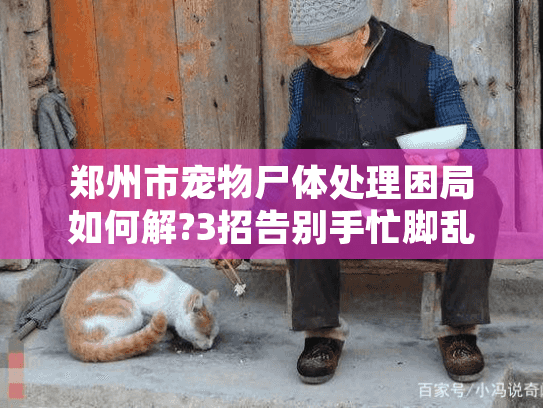 郑州市宠物尸体处理困局如何解?3招告别手忙脚乱! 郑州市宠物尸体处理困局如何解?3招告别手忙脚乱!
